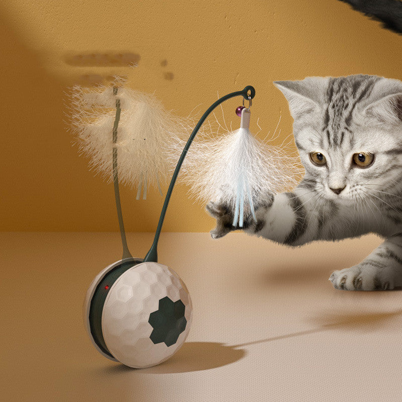 Elektrisch Interactief Kattenspeelgoed